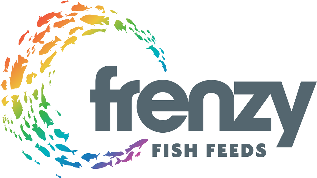 Fishin Craze Slot Evaluation