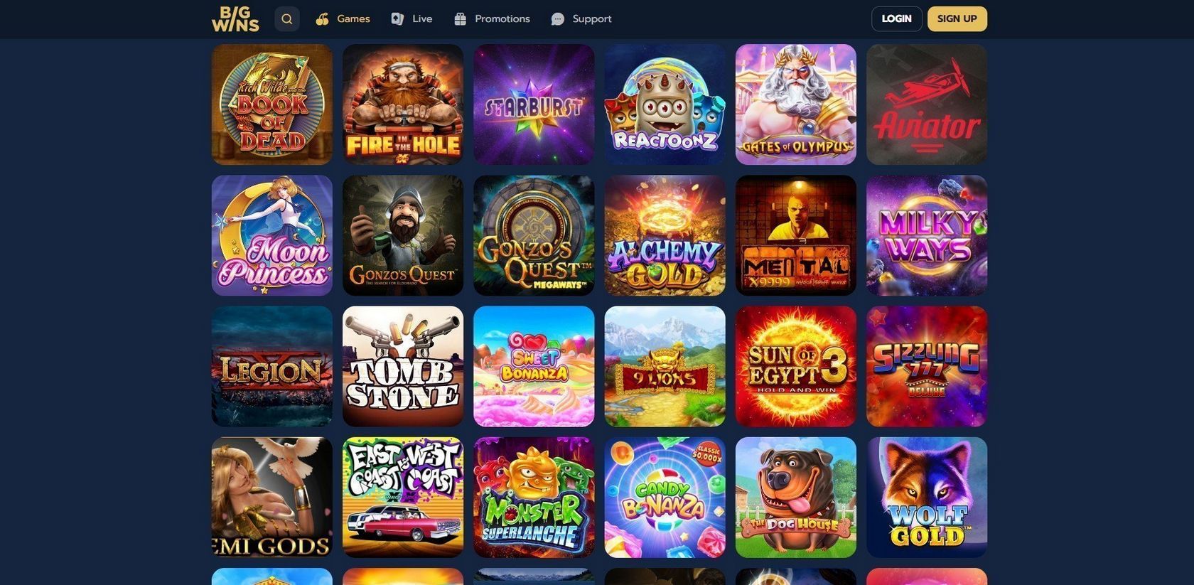 Mr Big Wins Gambling Enterprise