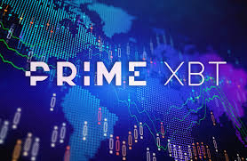 Exploring PrimeXBT Alternatives Best Options for Crypto Traders